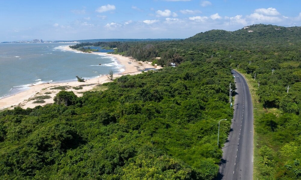 Rừng nguyên sinh Bình Châu - Phước Bửu